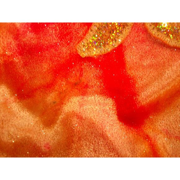 Dance Costume Revolution 775 Small Child Tutu Ballet YAGP Firebird Sequin Pointe - Picture 4 of 5